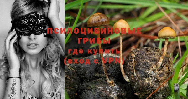 мдма Беломорск