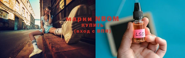 apvp Белокуриха