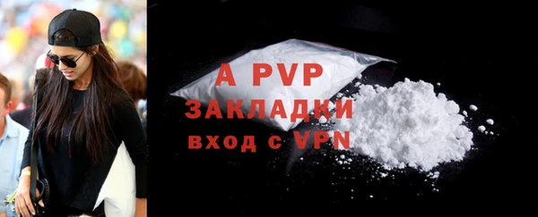 apvp Белокуриха