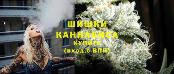 ПСИЛОЦИБИНОВЫЕ ГРИБЫ Белоозёрский