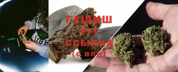 apvp Белокуриха